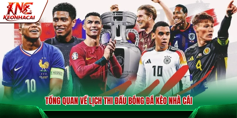 Sơ lược về hệ thống lịch thi đấu bóng đá tại Kèo Nhà Cái