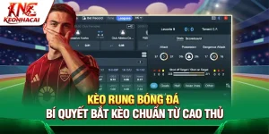 Kèo Rung Bóng Đá – Bí Quyết Bắt Kèo Chuẩn Từ Cao Thủ