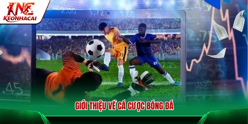 Tìm hiểu về cá cược bóng đá và các yếu tố quan trọng