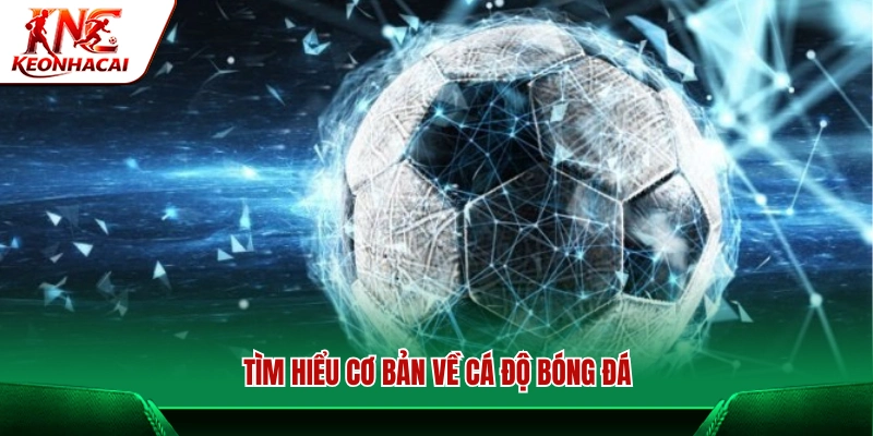 Tổng quan về cá độ bóng đá và các yếu tố cần biết